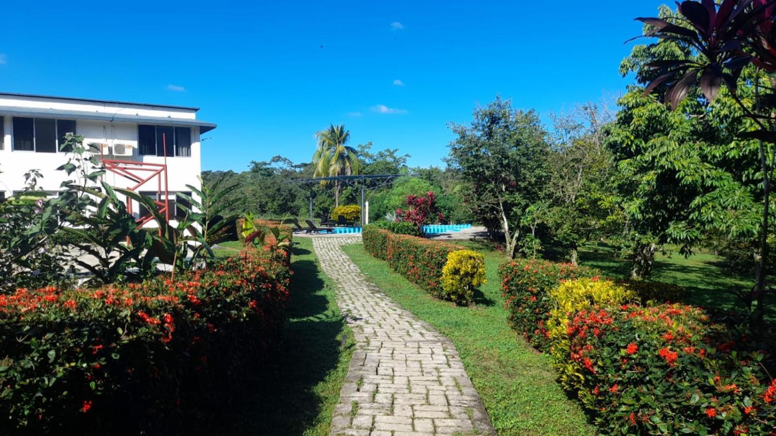 Hotel Los Leones Palenque Exteriör bild